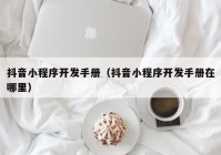 抖音小程序开发手册（抖音小程序开发手册在哪里）